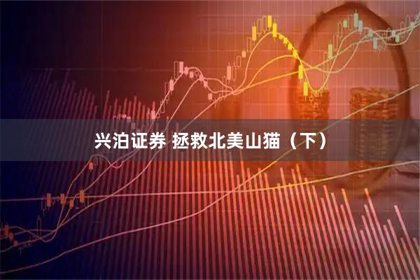 兴泊证券 拯救北美山猫（下）